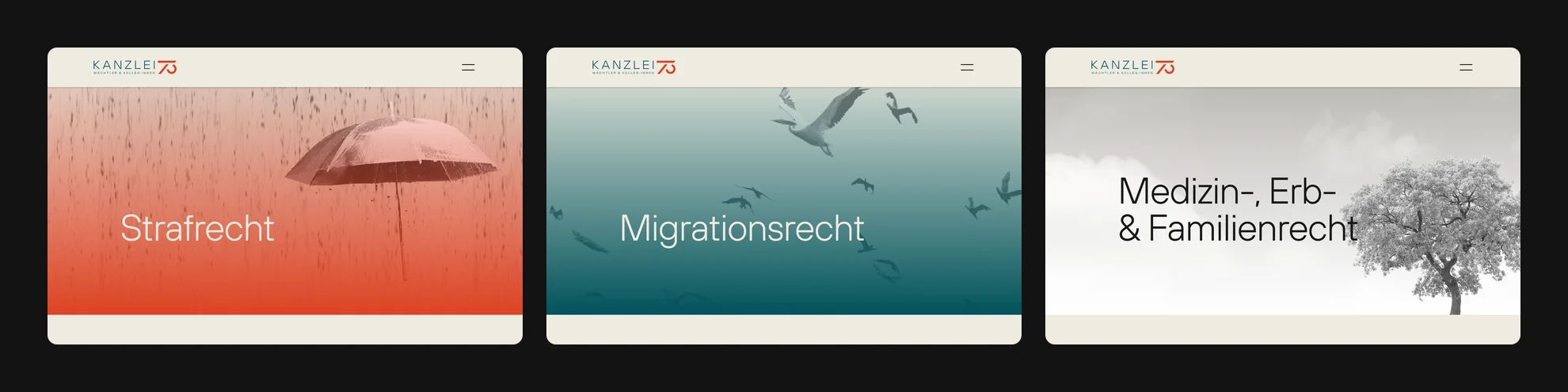 Die Kopfbereiche der drei Rechtsgebiete: Strafrecht in Rot, Migrationsrecht in Petrol, Medizin-, Erb- und Familienrecht in Grau